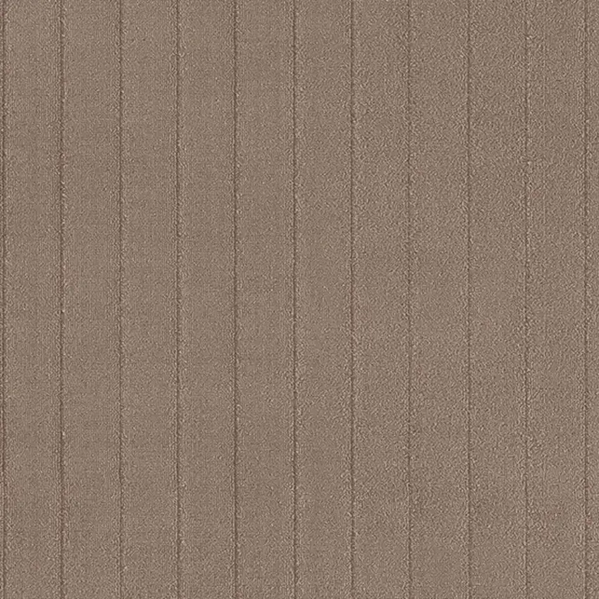 Brown Area Rug Photo 4