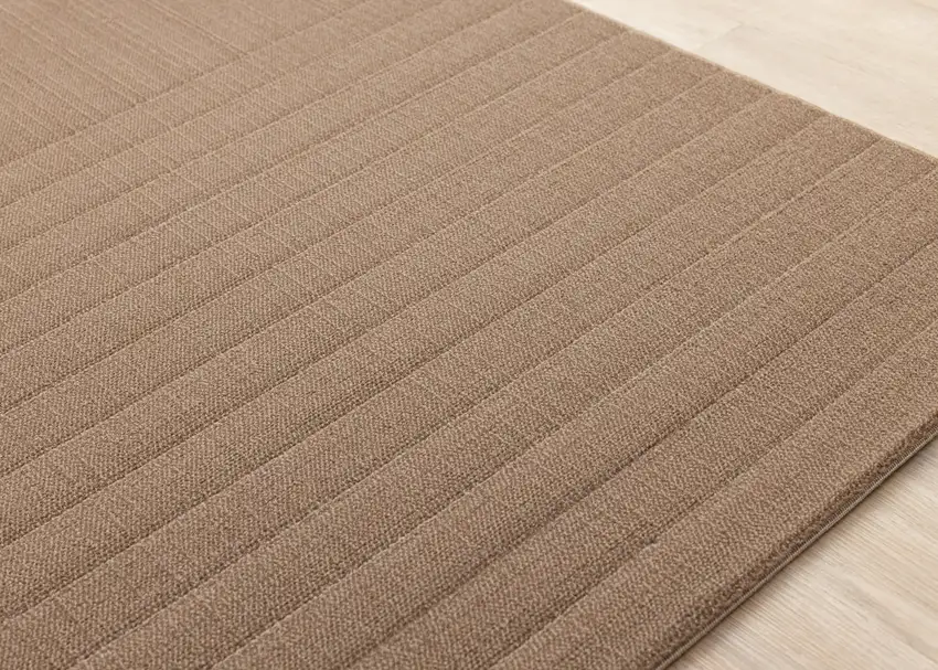 Brown Area Rug Photo 8