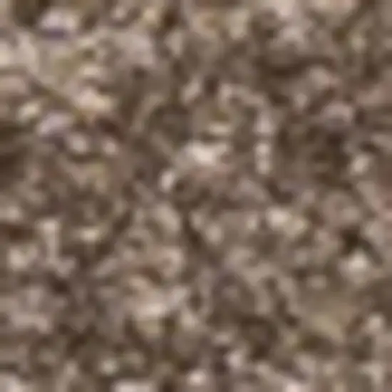 Brown Area Rug Photo 3