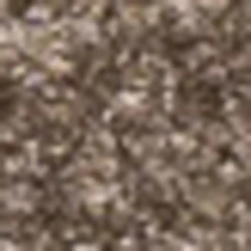 Brown Area Rug Photo 3