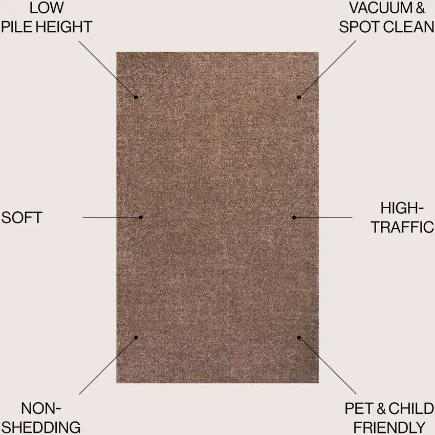 Brown Area Rug Photo 9