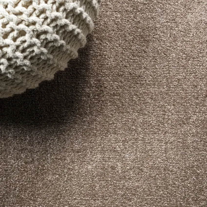 Brown Area Rug Photo 5