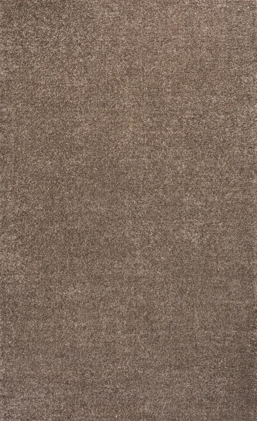 Brown Area Rug Photo 1
