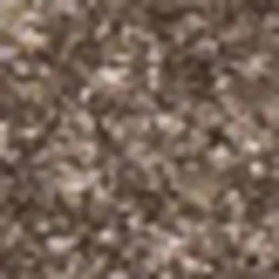 Brown Area Rug Photo 3