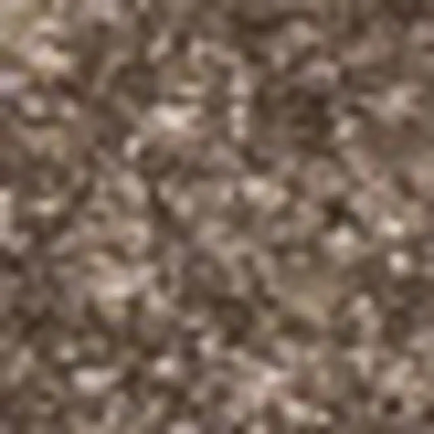 Brown Area Rug Photo 3