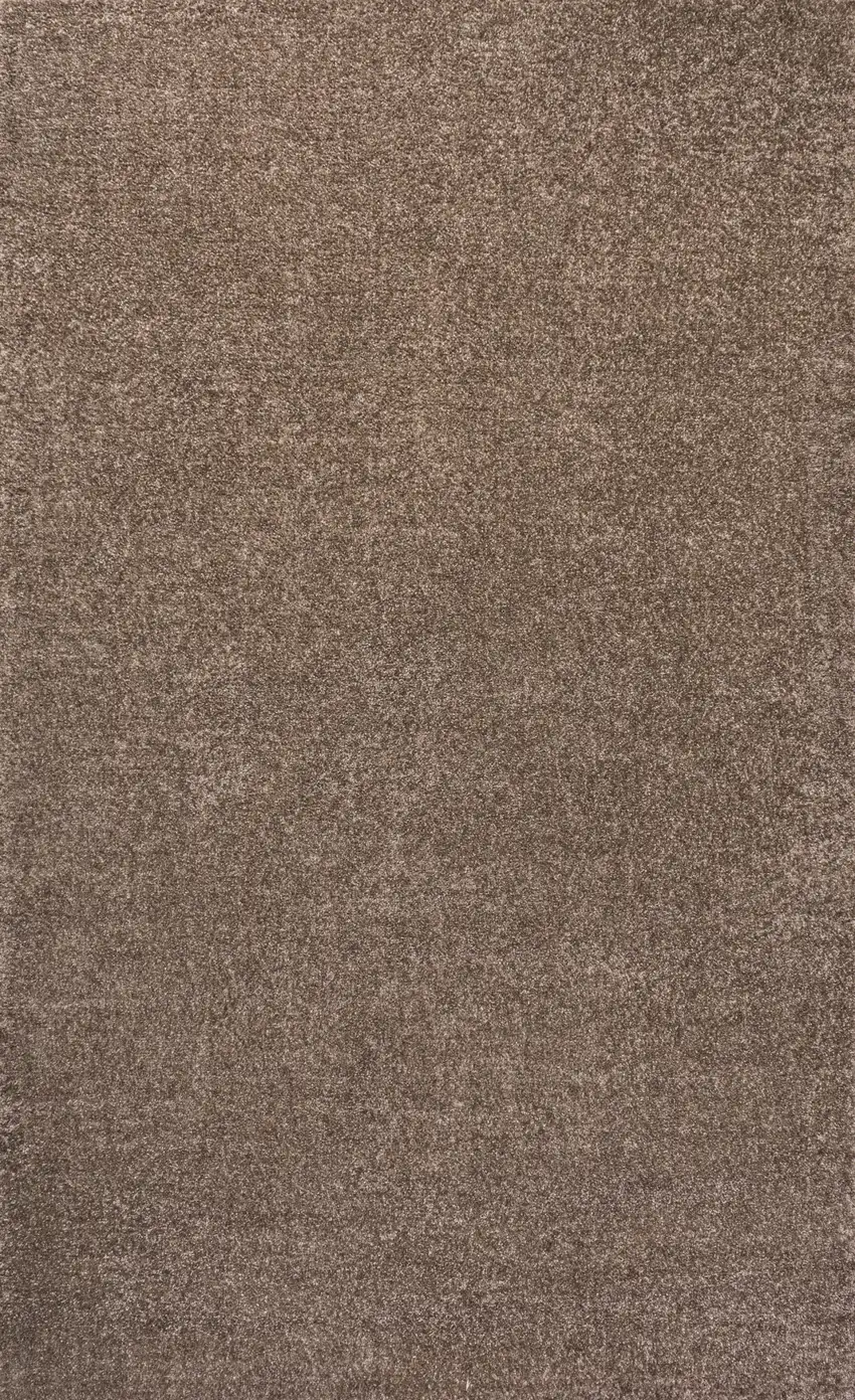 Brown Area Rug Photo 3