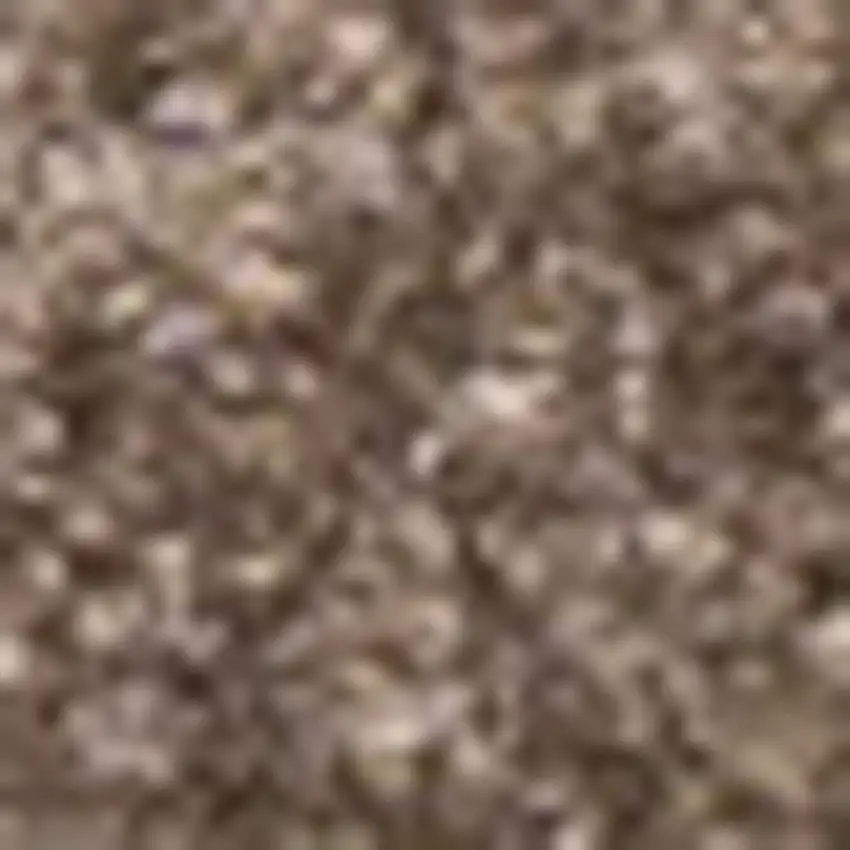 Brown Area Rug Photo 3