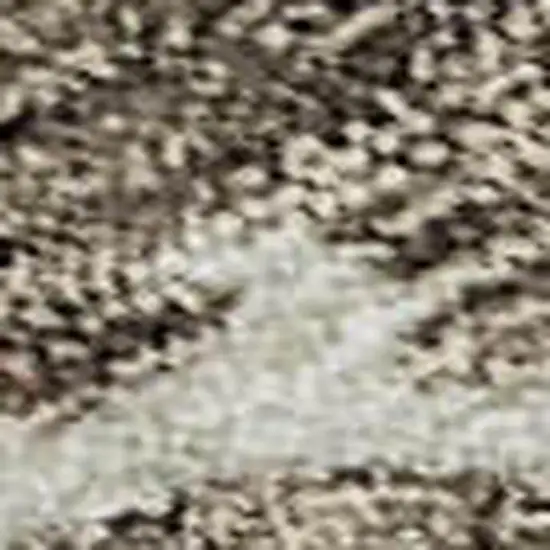 Brown Beige And Blue Floral Washable Area Rug With UV Protection Photo 2