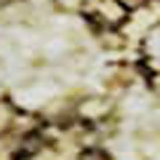 Brown Beige And Copper Diamond Washable Area Rug With UV Protection Photo 3