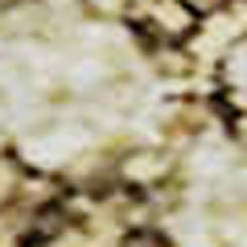 Brown Beige And Copper Diamond Washable Area Rug With UV Protection Photo 3