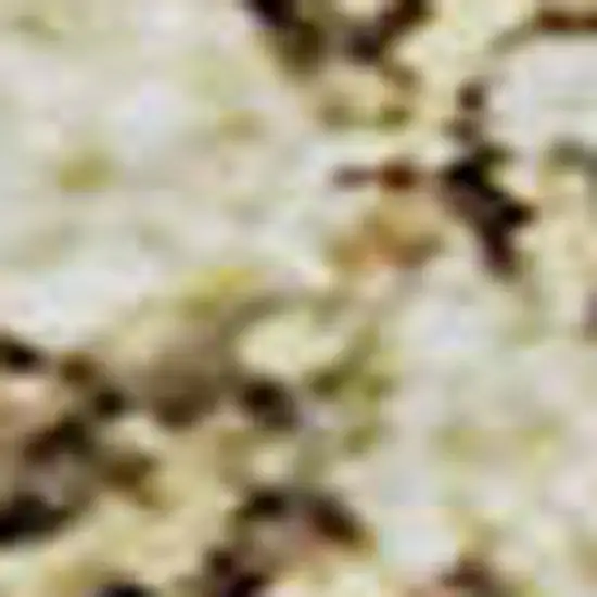 Brown Beige And Copper Diamond Washable Area Rug With UV Protection Photo 3