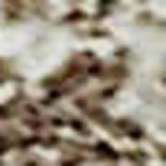 Brown Beige And Ivory Abstract Washable Area Rug With UV Protection Photo 3