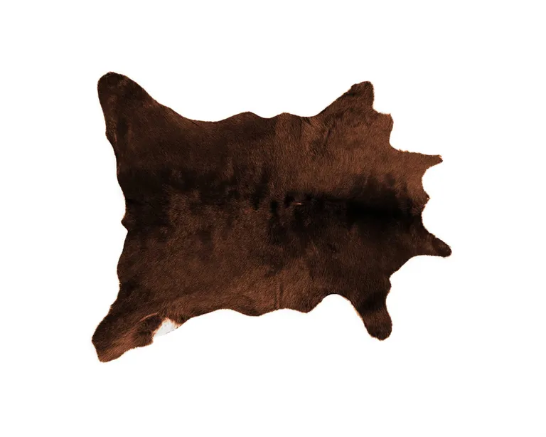 Brown Calfskin Area Rug Photo 4