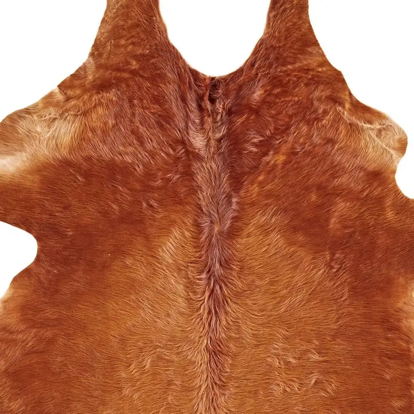 Brown Cowhide Animal Print Power Loom Area Rug Photo 5