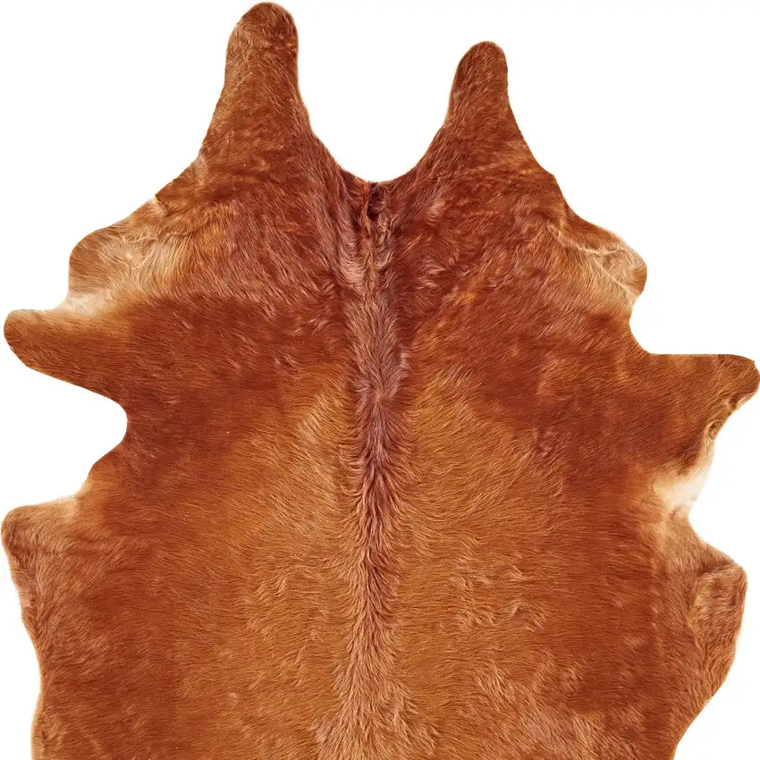 Brown Cowhide Animal Print Power Loom Area Rug Photo 8