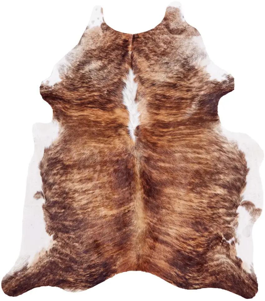 Brown Cowhide Animal Print Power Loom Area Rug Photo 4