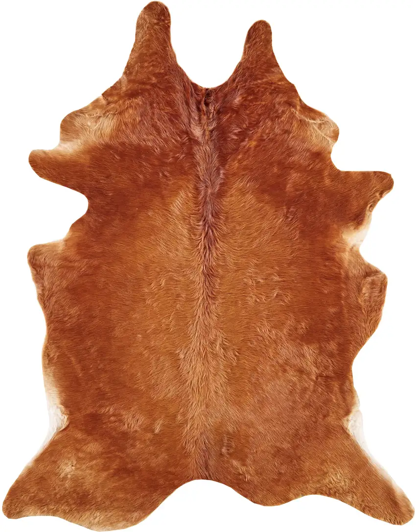 Brown Cowhide Animal Print Power Loom Area Rug Photo 2