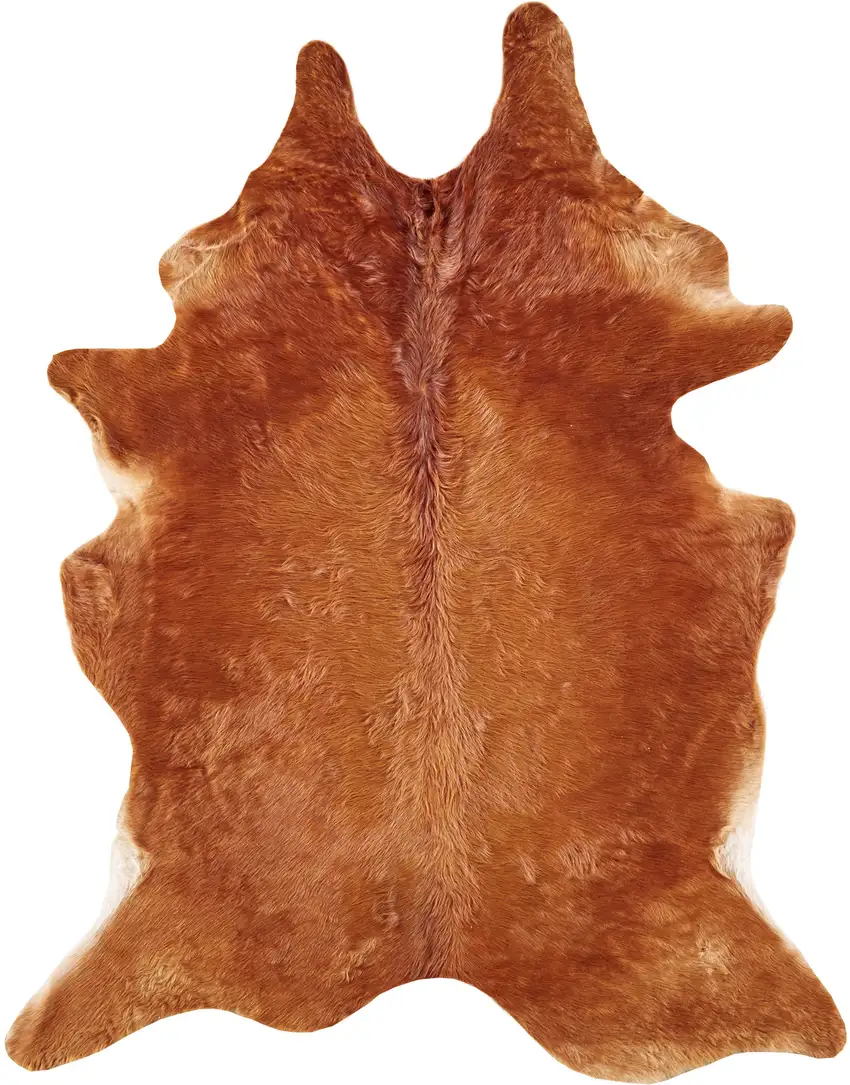 Brown Cowhide Animal Print Power Loom Area Rug Photo 5