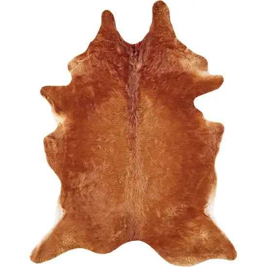 Brown Cowhide Animal Print Power Loom Area Rug Photo 4