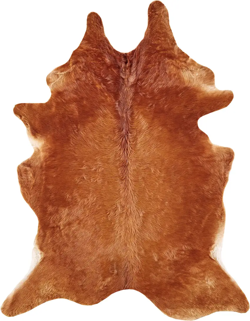 Brown Cowhide Animal Print Power Loom Area Rug Photo 4