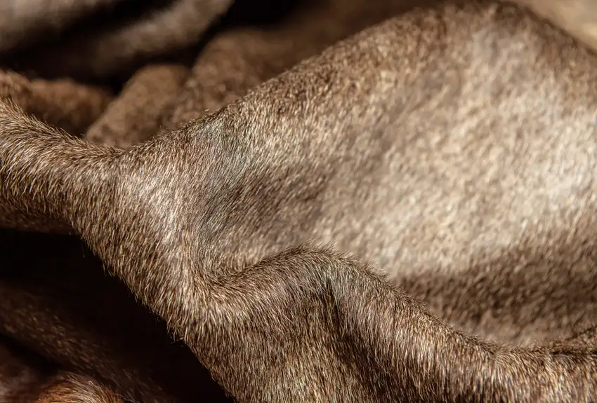 Brown Cowhide Hand Knotted Area Rug Photo 6