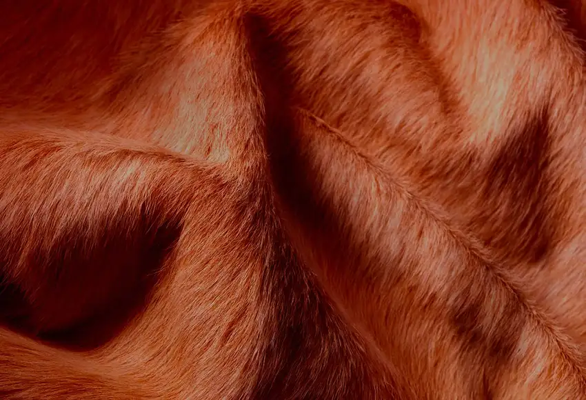 Brown Cowhide  Rug Photo 2