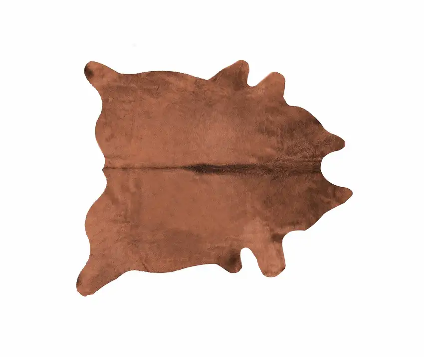 Brown Cowhide  Rug Photo 1