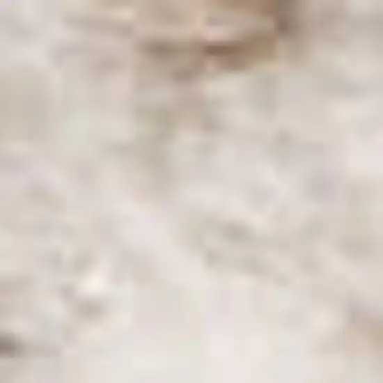 Brown Geometric Area Rug Photo 2