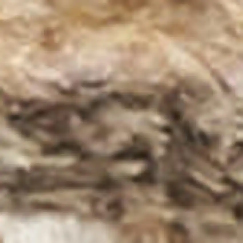 Brown Geometric Area Rug Photo 3