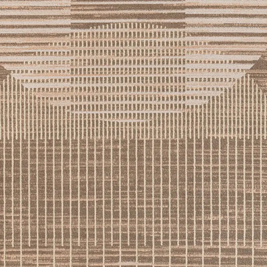 Brown Geometric Area Rug Photo 9