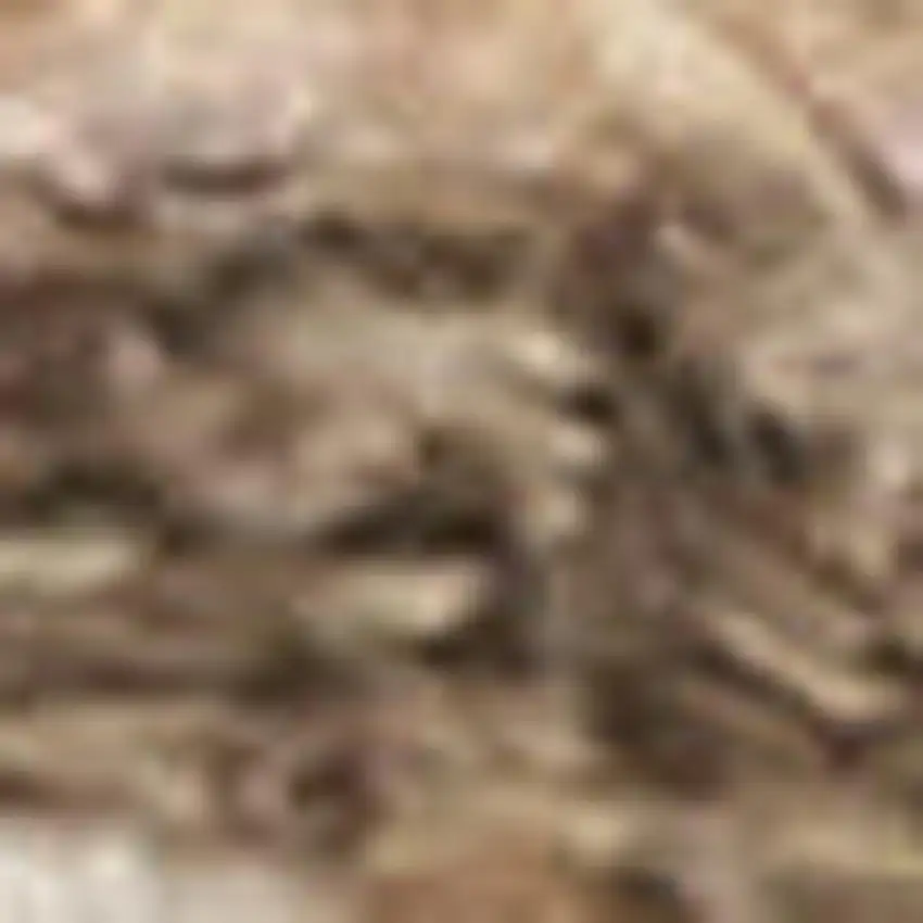 Brown Geometric Area Rug Photo 2