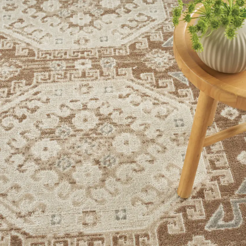 Brown Geometric Distressed Area Rug Photo 8