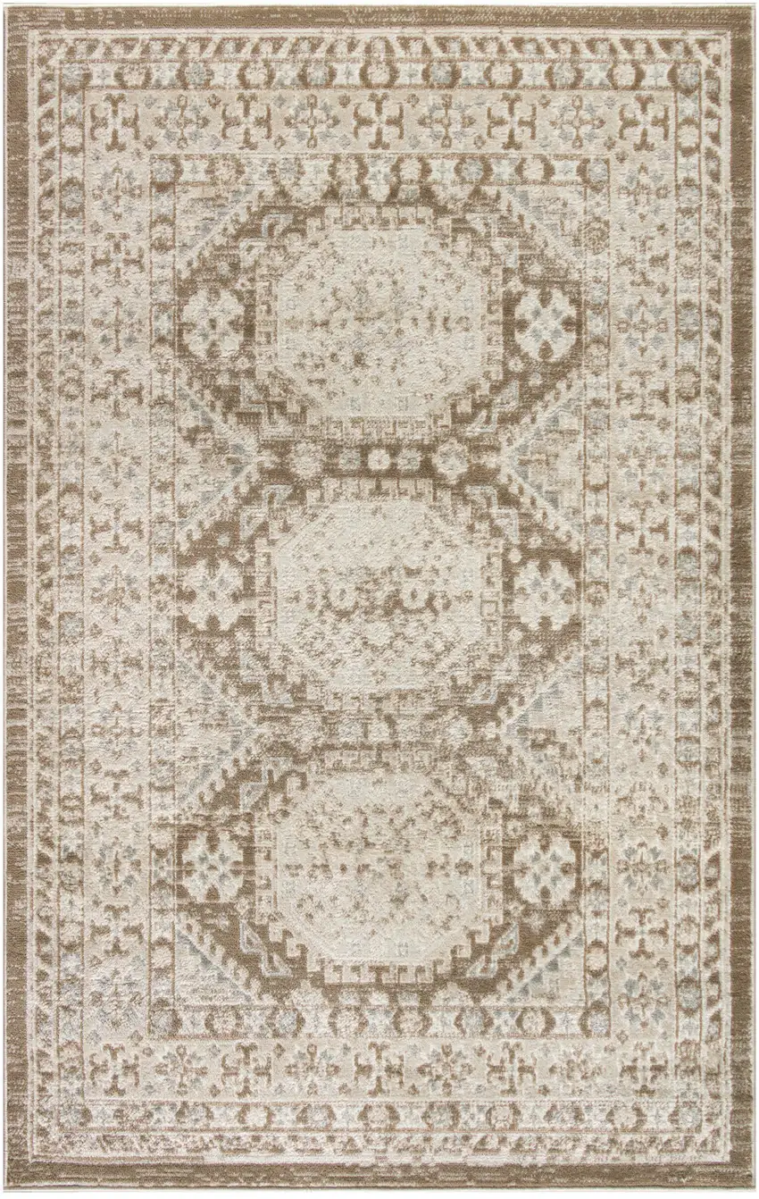 Brown Geometric Distressed Area Rug Photo 1