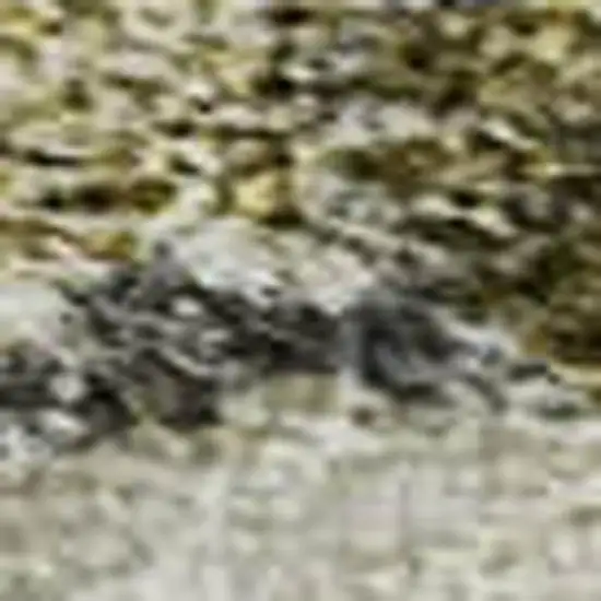 Brown Gray And Gold Floral Washable Area Rug With UV Protection Photo 2