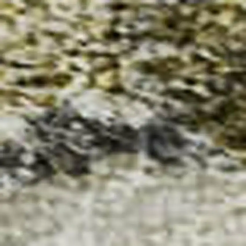 Brown Gray And Gold Floral Washable Area Rug With UV Protection Photo 2