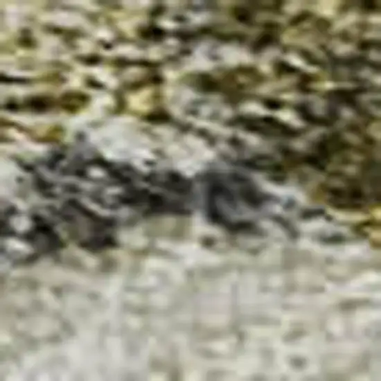 Brown Gray And Gold Floral Washable Area Rug With UV Protection Photo 2