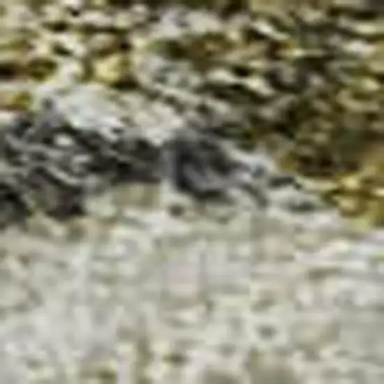 Brown Gray And Gold Floral Washable Area Rug With UV Protection Photo 2