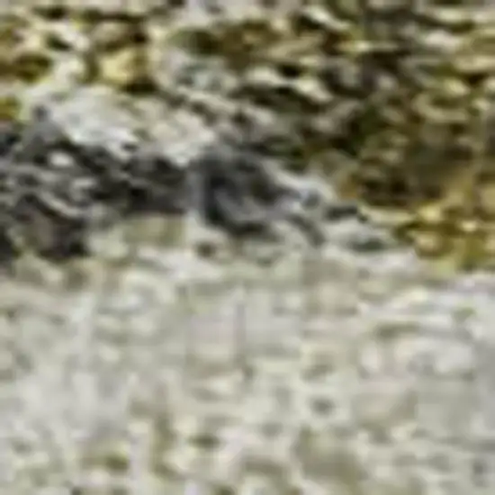 Brown Gray And Gold Floral Washable Area Rug With UV Protection Photo 2