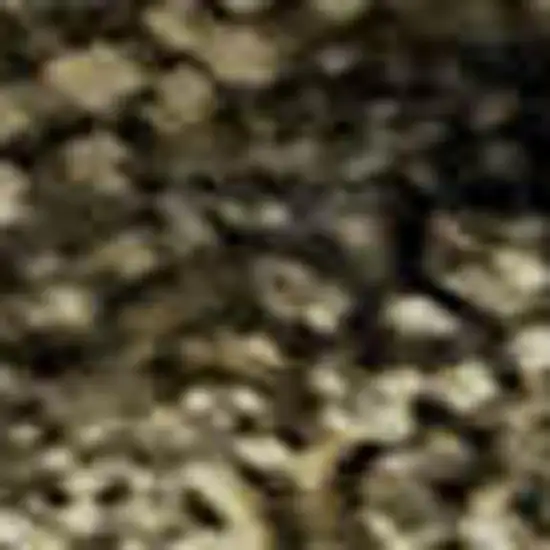 Brown Ivory And Beige Abstract Washable Area Rug With UV Protection Photo 4