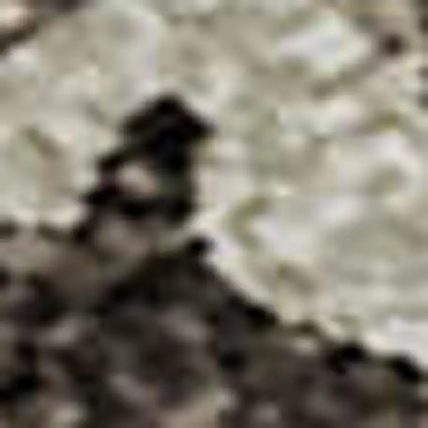 Brown Ivory And Taupe Abstract Washable Area Rug With UV Protection Photo 3