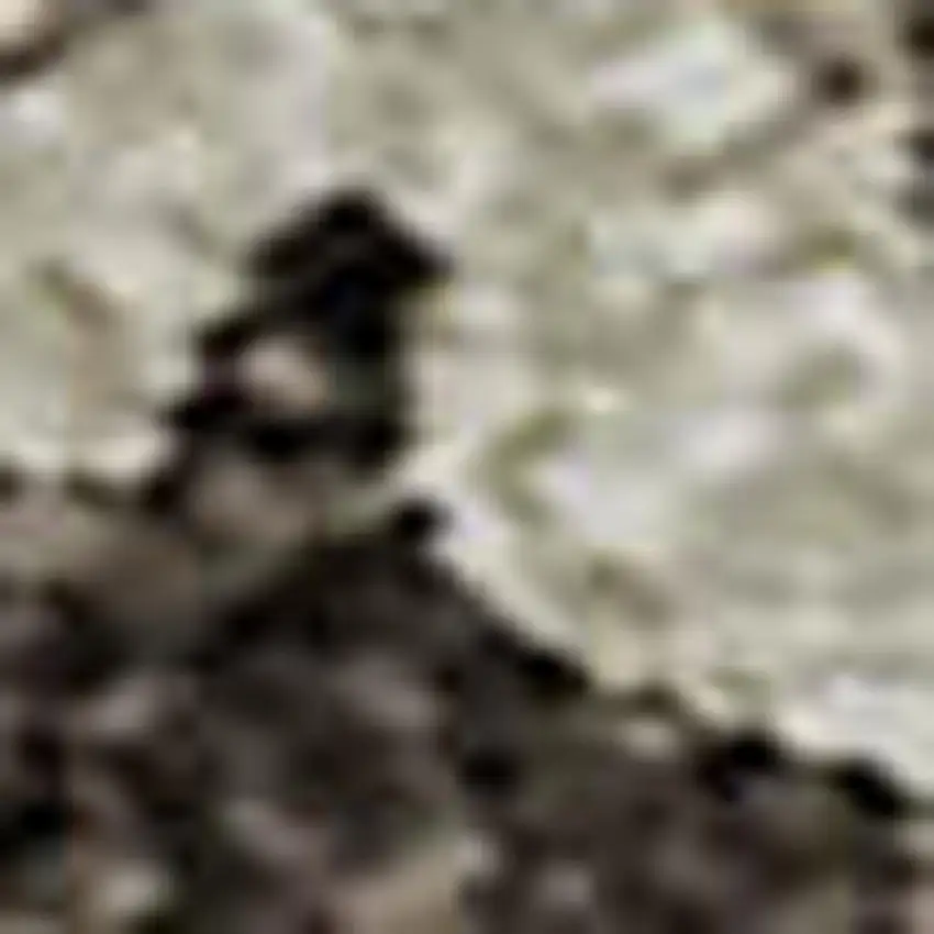 Brown Ivory And Taupe Abstract Washable Area Rug With UV Protection Photo 3