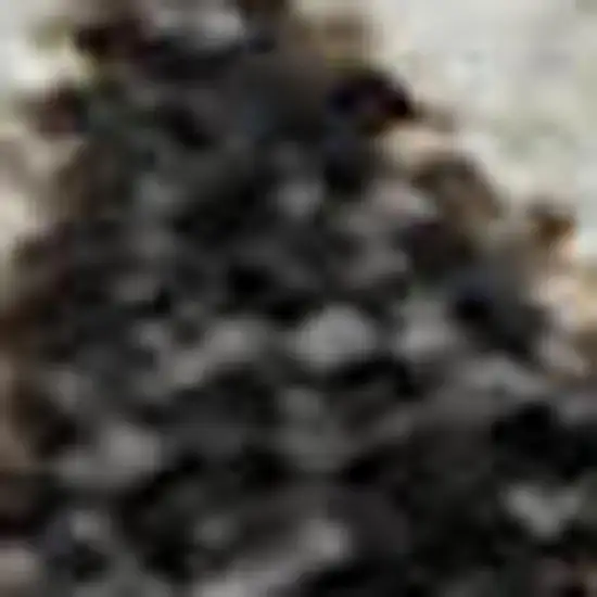 Brown Ivory And Taupe Plaid Washable Area Rug With UV Protection Photo 2