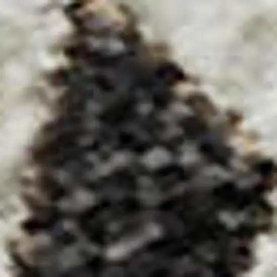 Brown Ivory And Taupe Plaid Washable Area Rug With UV Protection Photo 3