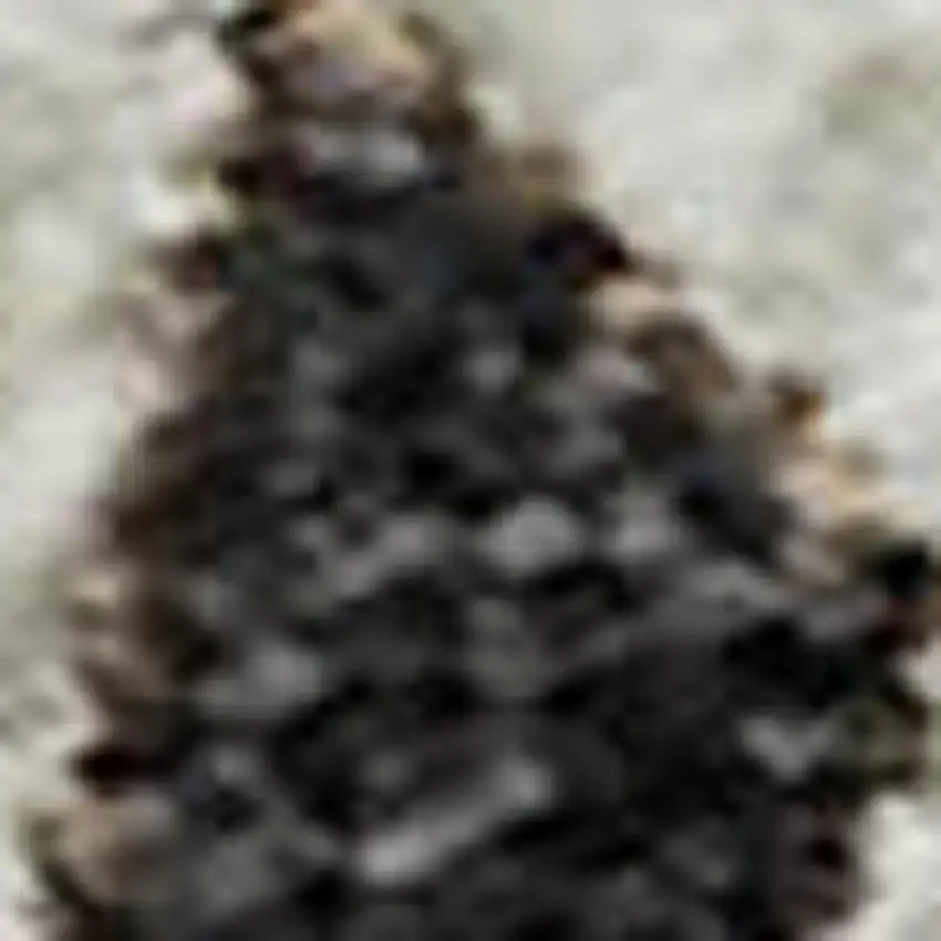 Brown Ivory And Taupe Plaid Washable Area Rug With UV Protection Photo 3