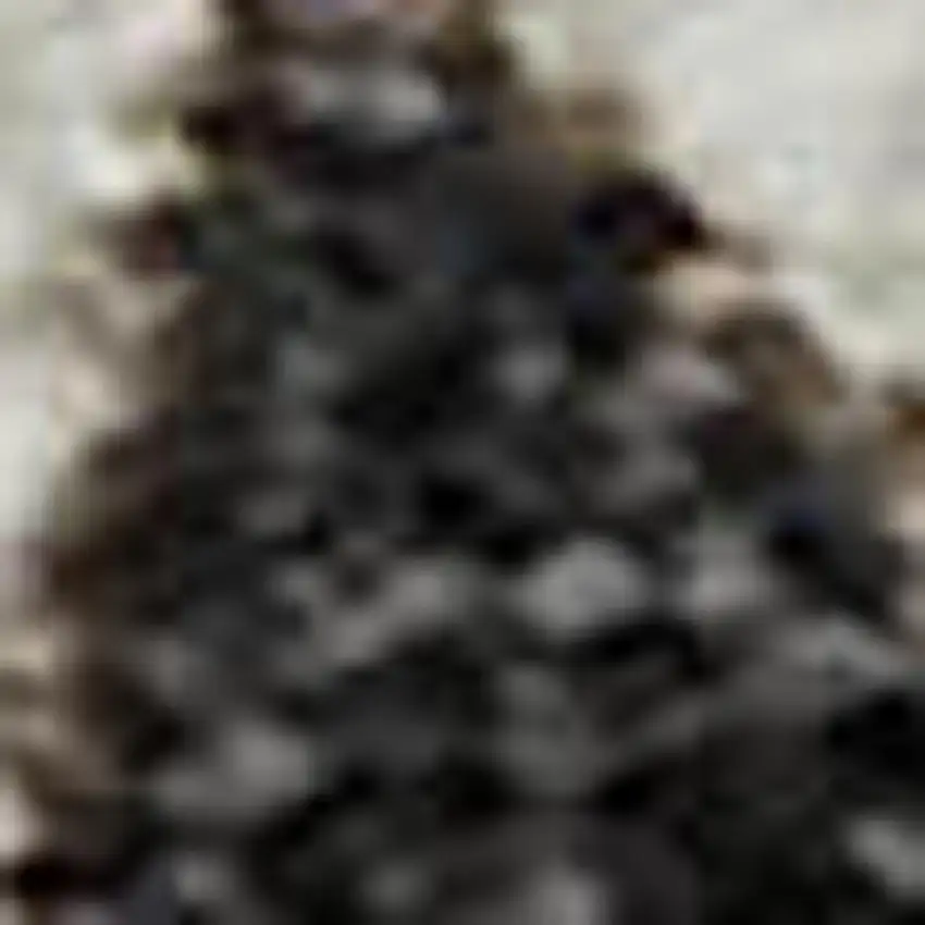 Brown Ivory And Taupe Plaid Washable Area Rug With UV Protection Photo 2