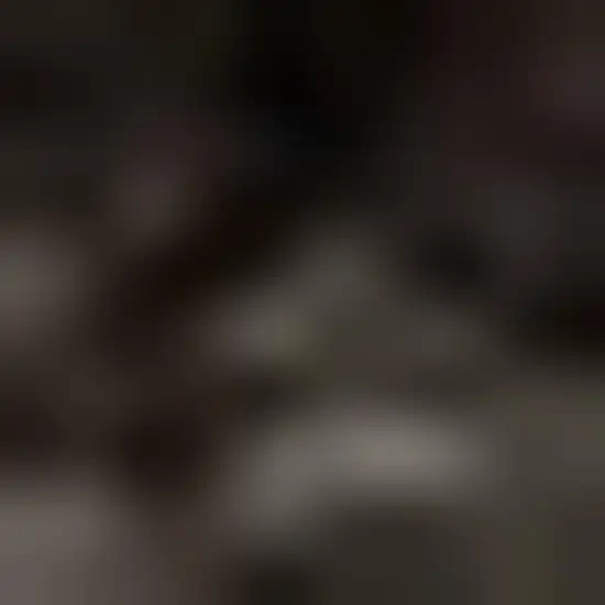 Brown Jute Handmade Area Rug Photo 3