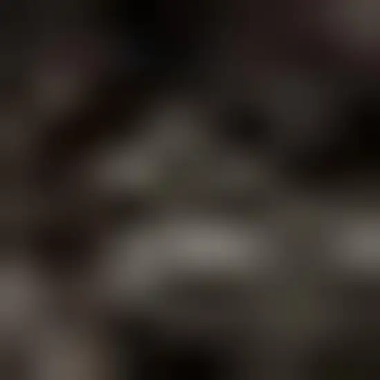 Brown Jute Handmade Area Rug Photo 3