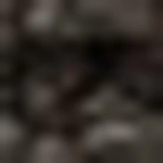 Brown Jute Handmade Area Rug Photo 3