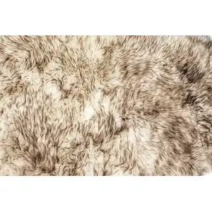 Photo of Brown Ombre Natural Sheepskin Area Rug