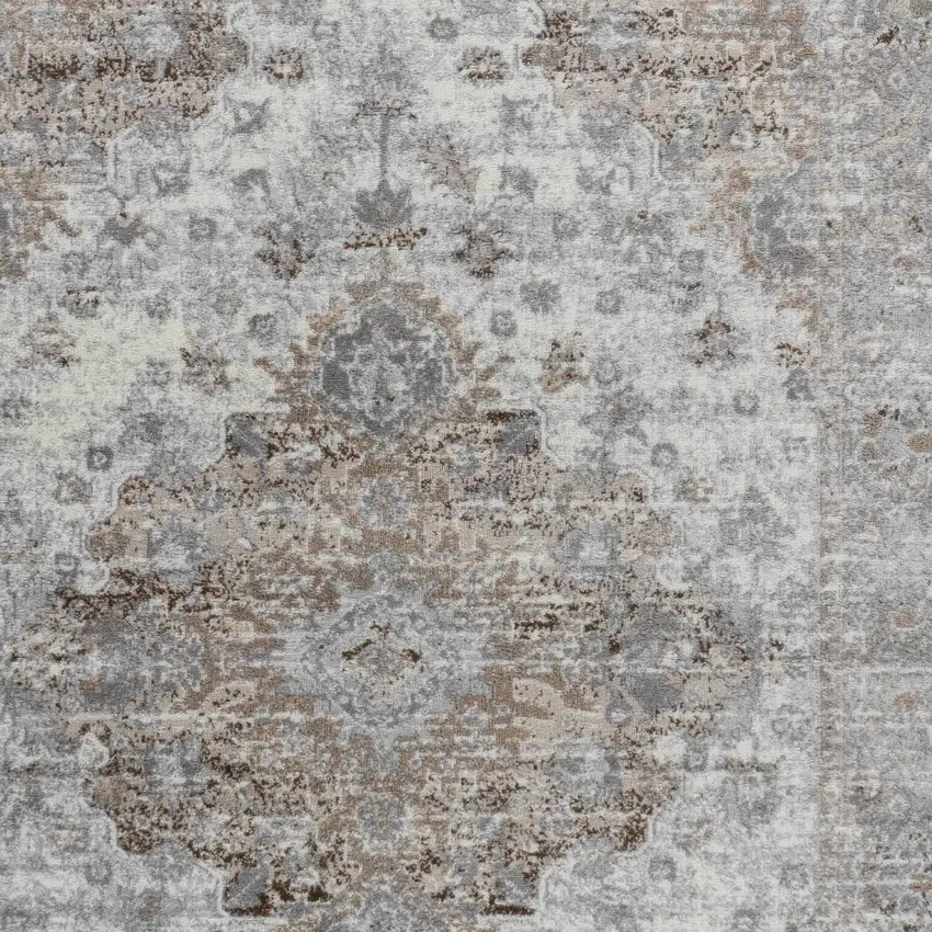 Brown Oriental Area Rug Photo 3